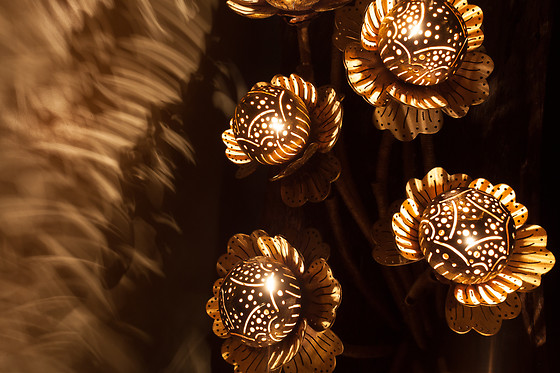 Saithan Spa - photo 16