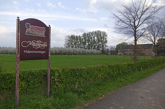 Meschermolen - photo 10