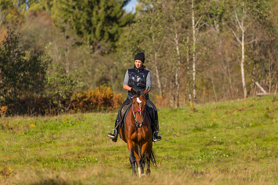 Le Haras des Ouches - photo 7