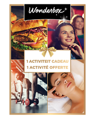 Wonder Activity 2026