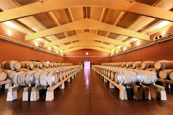 BODEGA FINCA VILLACRECES & BODEGA IZADI - photo 17