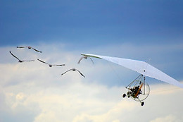 AEROCLUB L'ESTARTIT