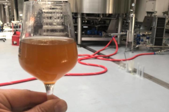 Een bierdegustatie voor 2 bij Brasserie des 3 Provinces (Sombreffe - Namen)
