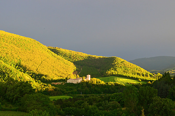 Raffaello Residence - photo 3