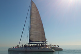MUNDO MARINO ALICANTE