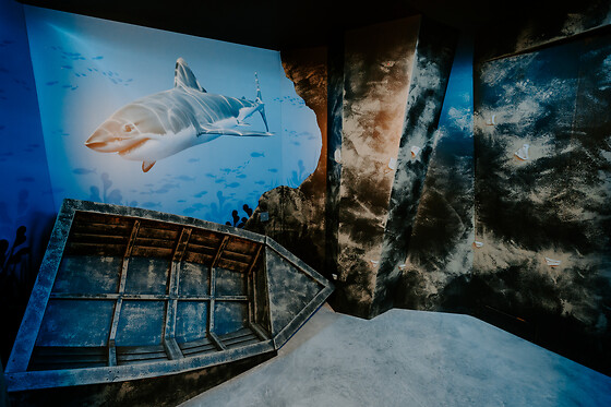 IVAZIO Island Bordeaux - photo 14