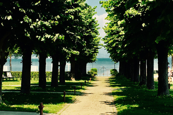Splendido Bay - photo 7