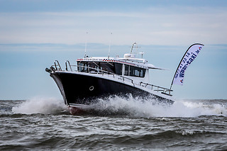 Zeehonden spotten voor 2 met Water-Taxi.be (Blankenberge - West-Vlaanderen)