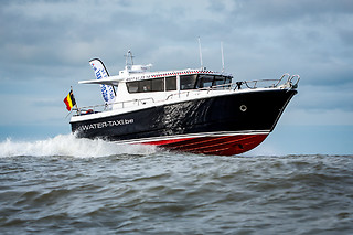 Zeehonden spotten voor 2 met Water-Taxi.be (Blankenberge - West-Vlaanderen)