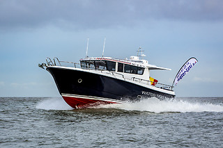 Zeehonden spotten voor 2 met Water-Taxi.be (Blankenberge - West-Vlaanderen)