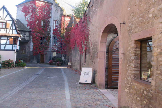 Domaine André Blanck et ses fils - photo 2