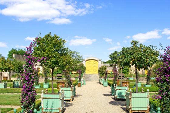 Château de Saint-Loup - photo 9