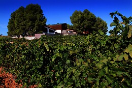 BODEGAS VEGALFARO