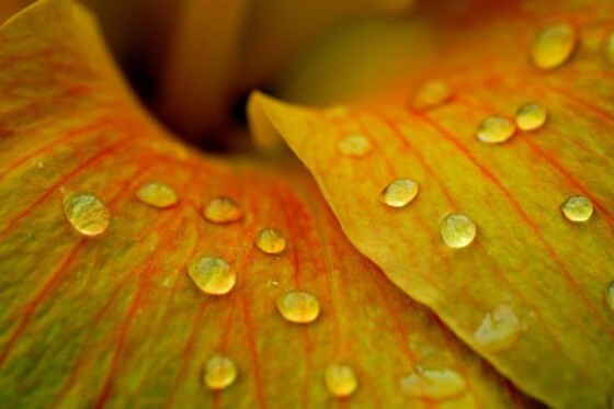 HYPCOACH - photo 5