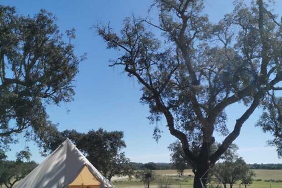 Direction South Glamping - photo 5