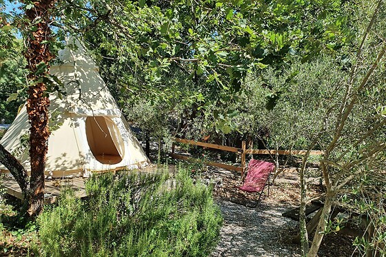 Les Roulottes et Cabanes de Saint-Cerice - photo 18