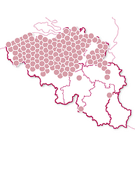 Gezellig thuis ontbijten