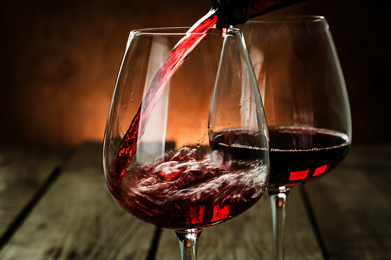 BODEGAS RENALTERRA - photo 4
