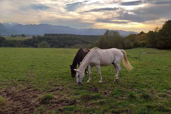 Les 3 Collines - photo 7