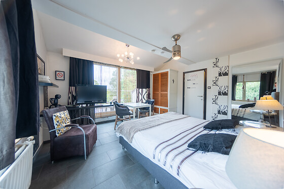 De Witte Merel & Hotel at home - photo 20