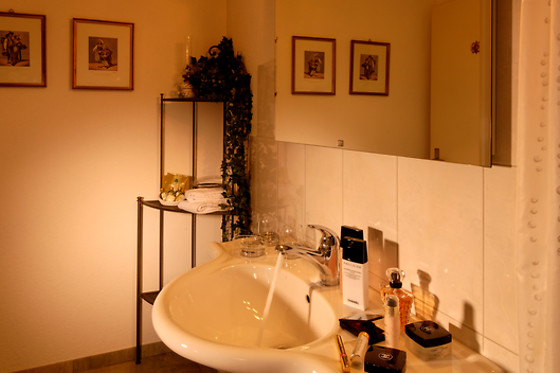 Bristol Hotel Adenboden - photo 10