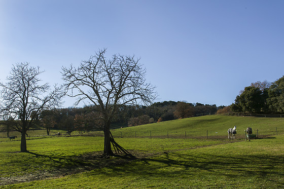 Domaine de la Trille - photo 11