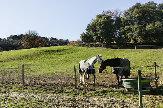 Domaine de la Trille - photo 5