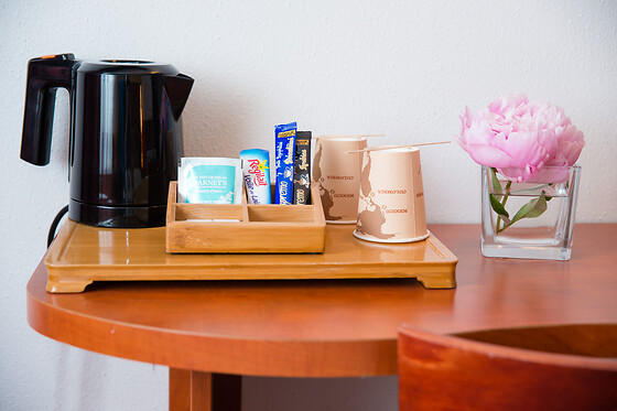 Brit Hotel Rennes St Grégoire - Le Villeneuve - photo 17