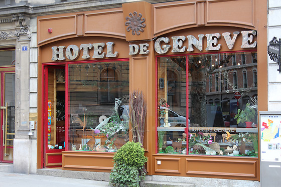 Hôtel de Genève - photo 7