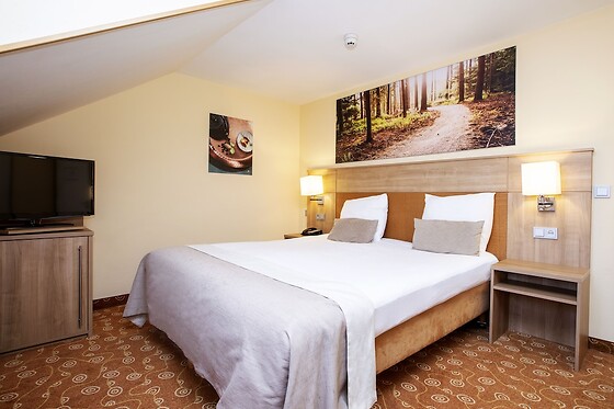 Fletcher Hotel-Restaurant Klein Zwitserland (HOTEL) - photo 7