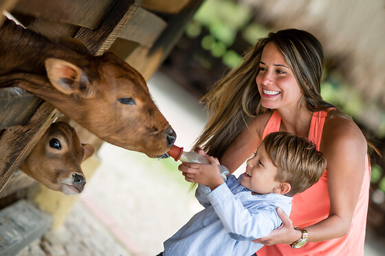 Ferme Le Bochet - photo 16
