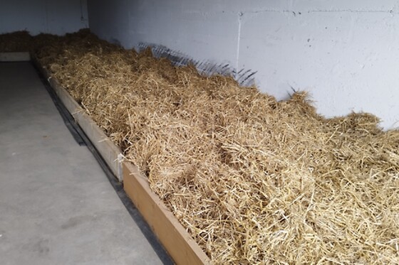 Ferme Le Bochet - photo 4