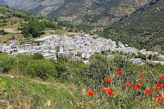 CAMPING TREVELEZ - photo 7