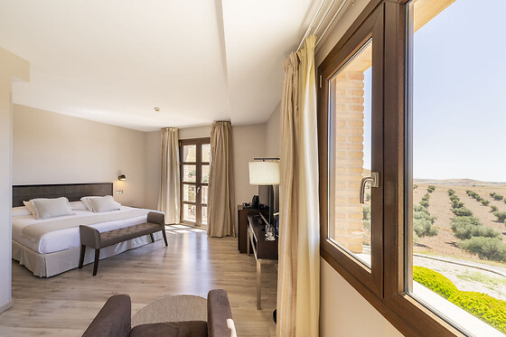 HOTEL SPA VILLA NAZULES - photo 13