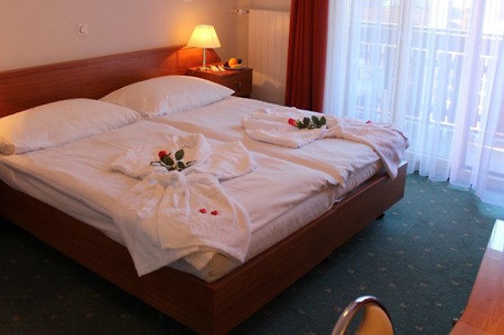 Hotel Elite Zermatt*** - photo 3