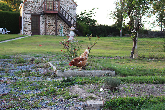 Maison MooMoon's - photo 4