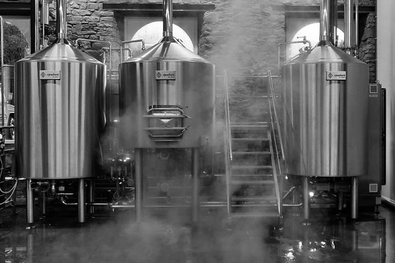 Brasserie Elfique - photo 16