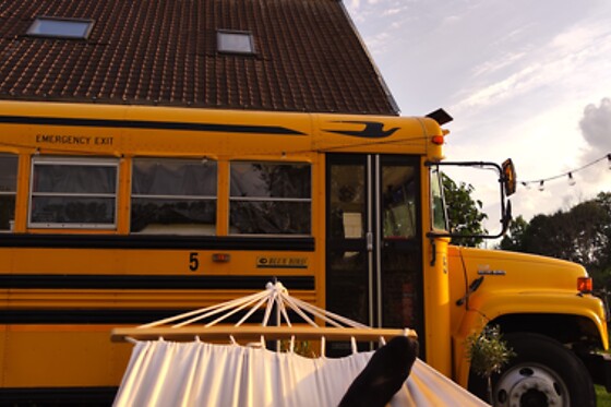The School Bus - photo 5