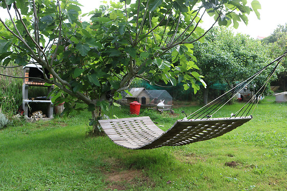 BIOSURF CAMP - photo 3