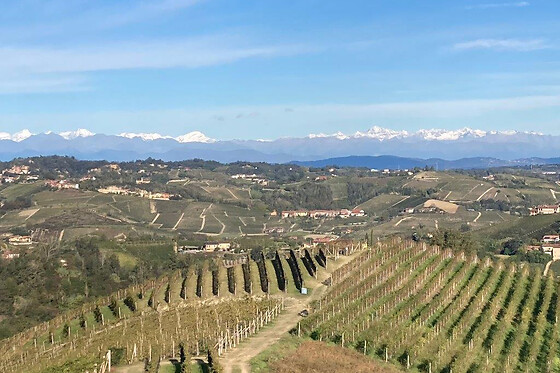 Cantina Fabrizio Battaglino - photo 4