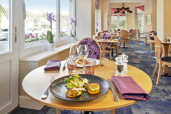 Brit Hotel & Spa Le Roc au Chien - photo 5