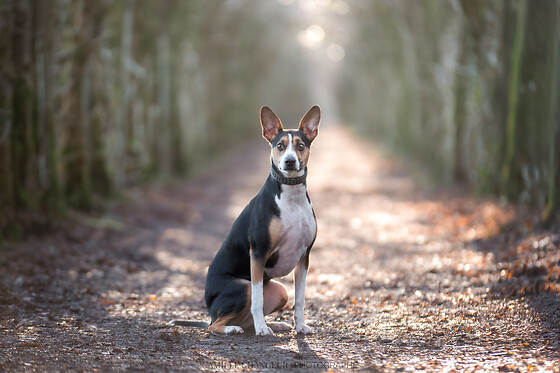 Camille Changeur Photographe - photo 2