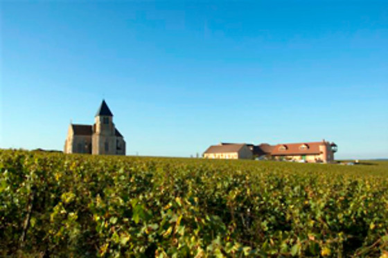 Domaine Brocard - photo 6