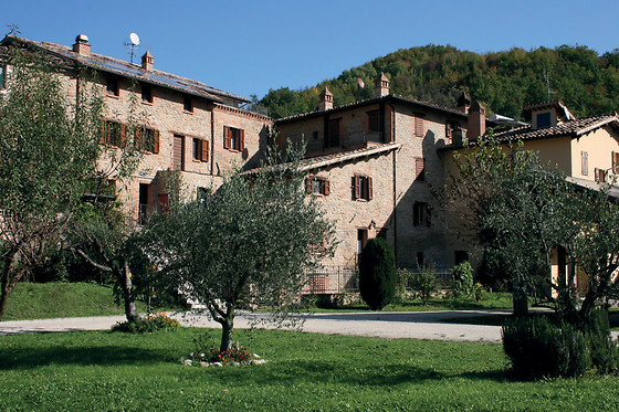 Azienda Agricola Le Selve - photo 3