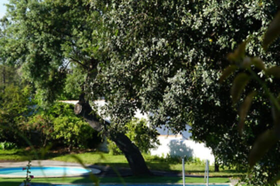 Alentejo Star Hotel**** - photo 12