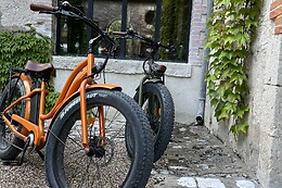 Royal Fat Bike