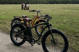 Royal Fat Bike
