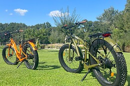 Royal Fat Bike