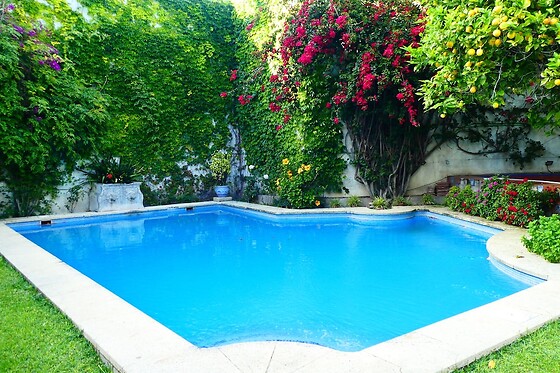 Online Booking EPS - photo 0