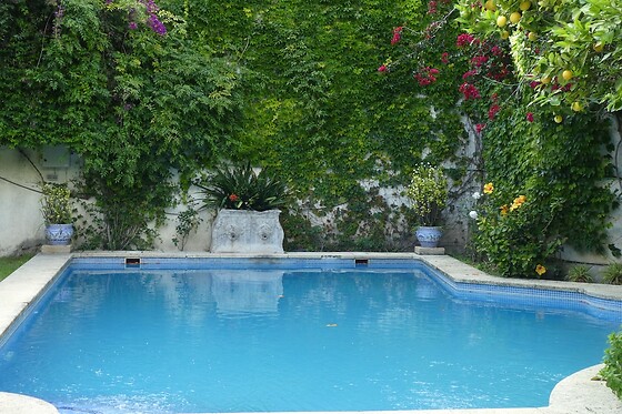 Online Booking EPS - photo 3